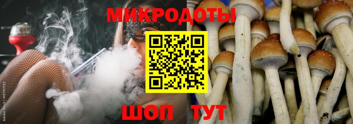 Галлюциногенные грибы MAGIC MUSHROOMS  Вход с VPN  Карасук  Галлюциногенные грибы MAGIC MUSHROOMS 